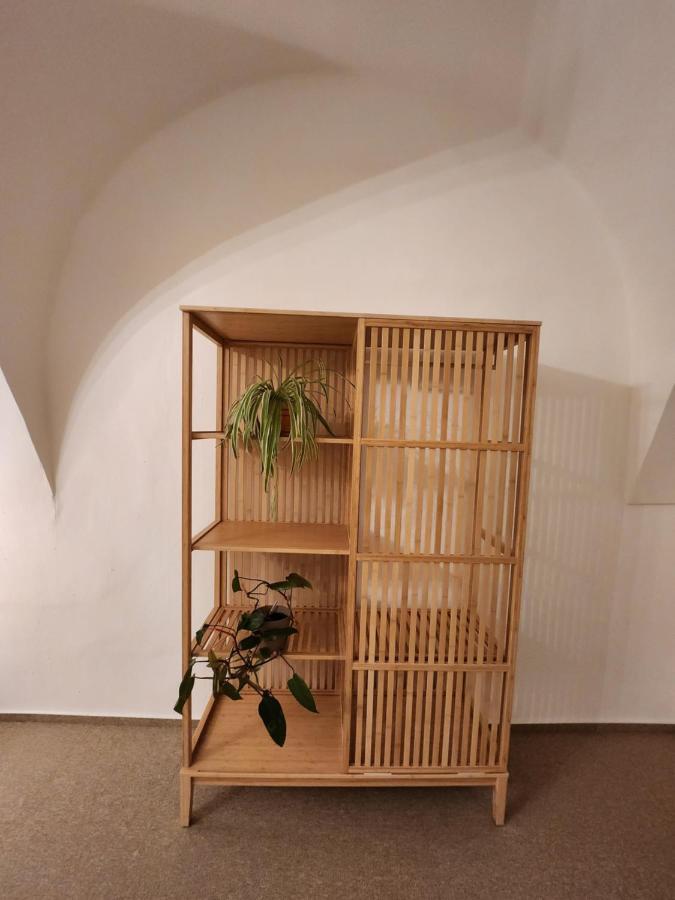 Zamek Ruda Nad Moravouアパートメント エクステリア 写真